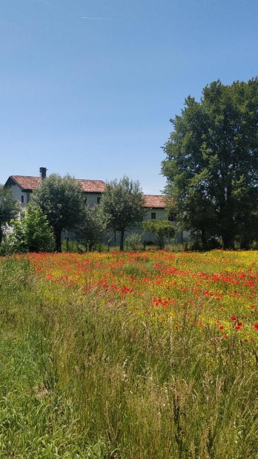 Porte Di Venezia, Tessera Aeroporto Favaro Veneto Exterior photo